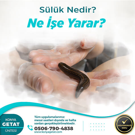 Konya Sülük Fiyatları