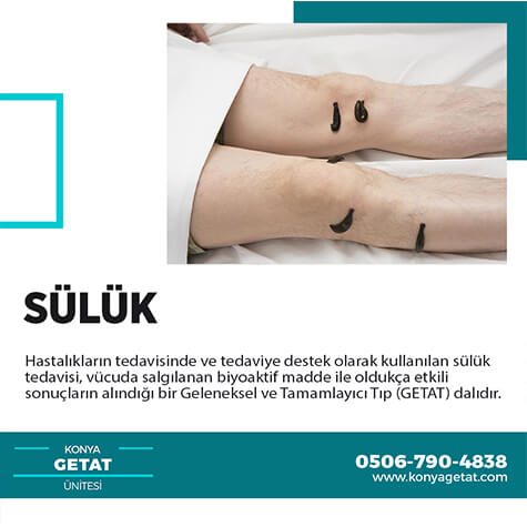 Konya Sülük